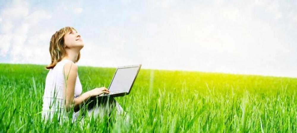 Lady in Field on Laptop